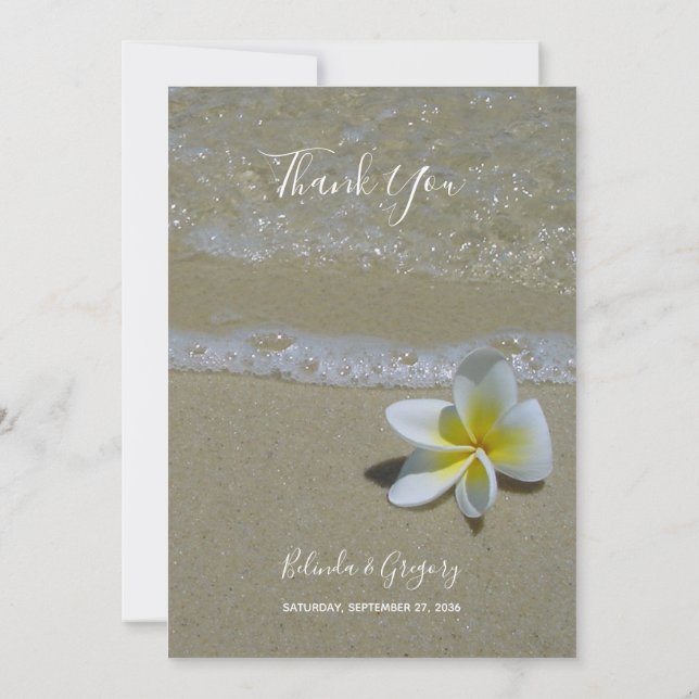 Plumeria Frangipani En La Tarjeta De Agradecimient (Reverso)