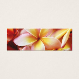 Plumeria Frangipani Hawaii Flor en blanco personal