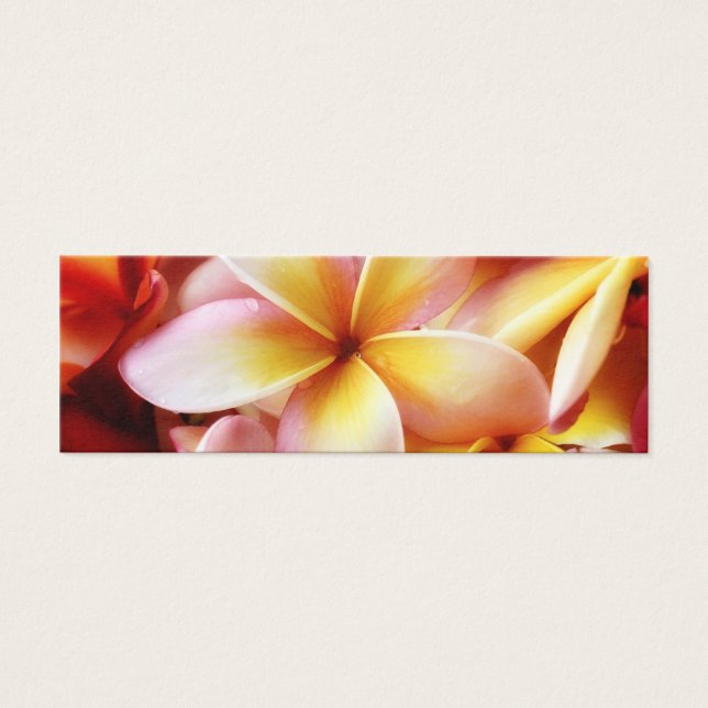 Plumeria Frangipani Hawaii Flor en blanco personal (Frente)