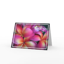 Plumeria Gracias Nota