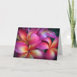 Plumeria Gracias Nota