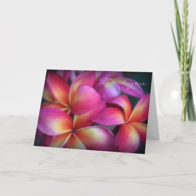 Plumeria Gracias Nota (Anverso)