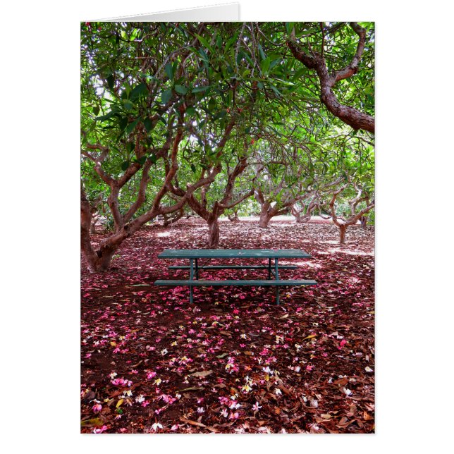 Plumeria Grove (Frente)