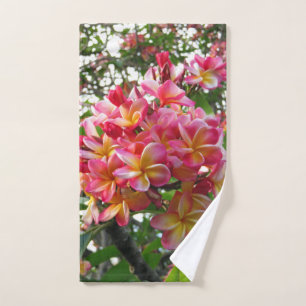 Plumeria hawaiana