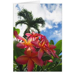 Plumeria hawaiano