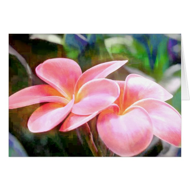 Plumeria rosa (Anverso (Horizontal))