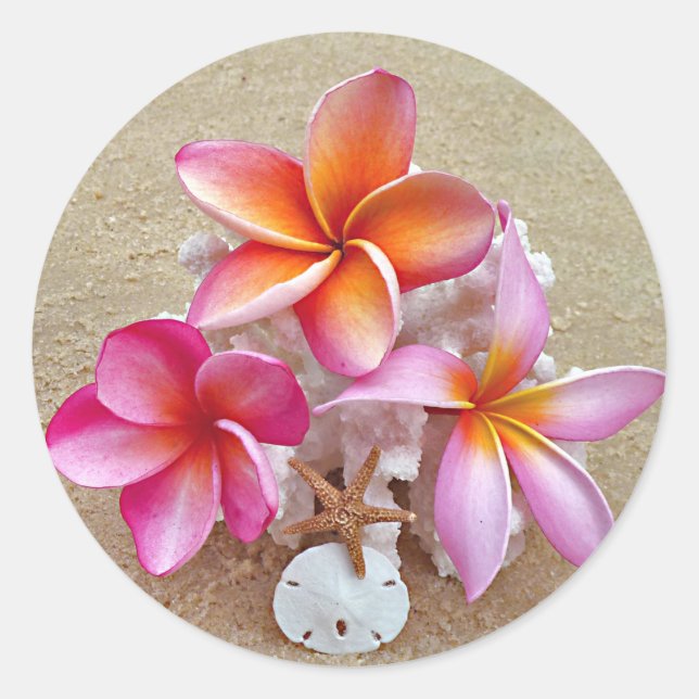 Plumeria y conchas en el Pegatina Sandy Beach (Anverso)
