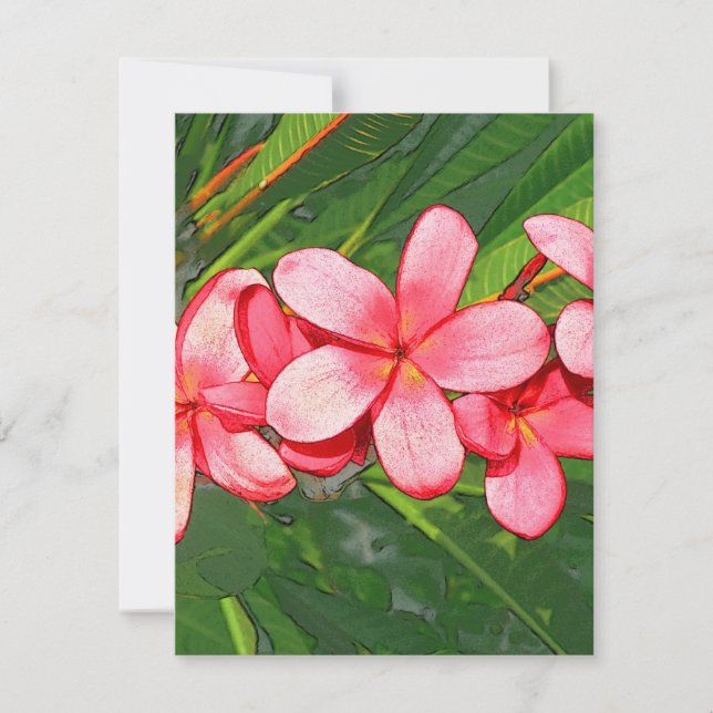 Plumerias (Anverso)
