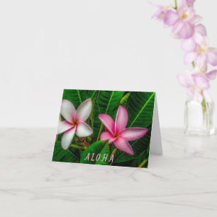 Plumerias en tarjeta de felicitación plegada blanc