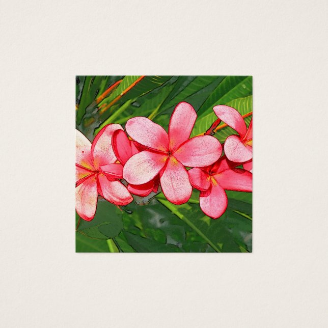 Plumerias rosadas (Anverso)