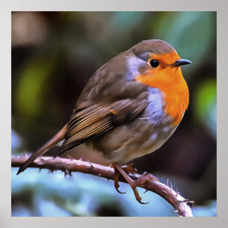 Plump Robin Colgado En Una Rama De Arte De Vida Si