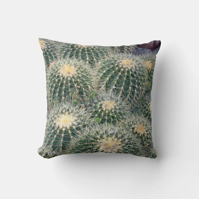 Poca almohada de tiro espinosa del cactus (Anverso)
