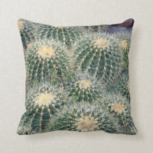 Poca almohada de tiro espinosa del cactus