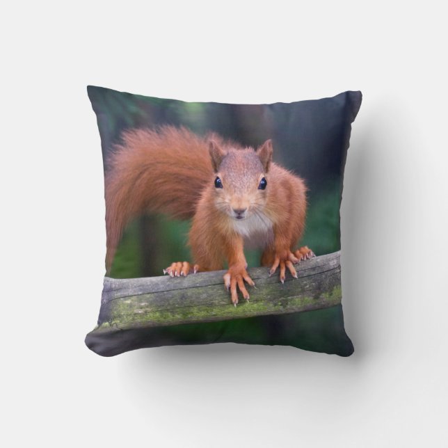 Poca almohada roja (Anverso)