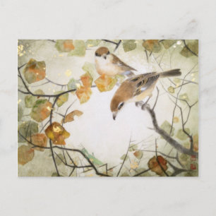 Poca postal Criatura-Bull-dirigida de Shrikes
