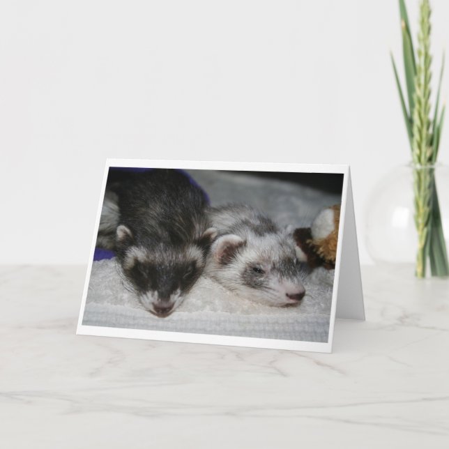 Pocas tarjetas de felicitaciones de los durmientes (Anverso)