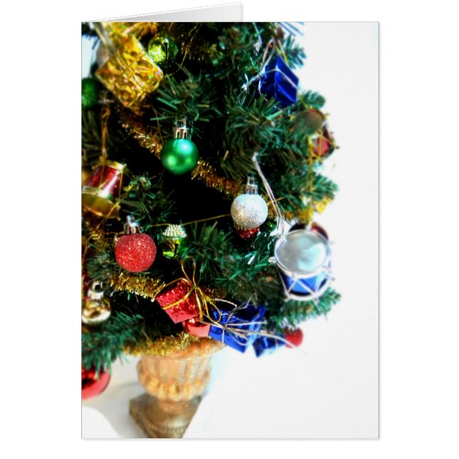 Poco árbol II del tambor (Frente)