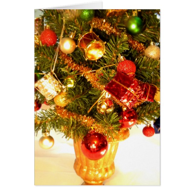 Poco árbol III del tambor (Frente)