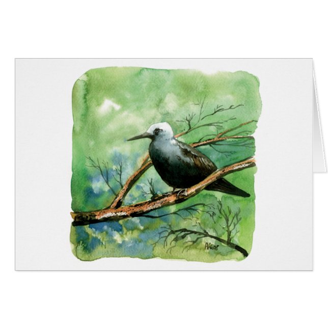 Poco bobo (Anverso (Horizontal))