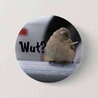 Poco botón de Birdy: ¿"Wut? "