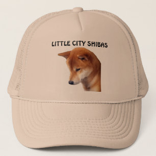 POCO GORRA DE LA CIUDAD SHIBA