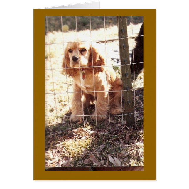 poco proscrita (Frente)