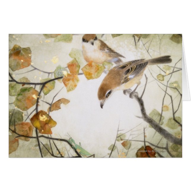 Poco Shrikes Criatura-Bull-dirigido (Anverso (Horizontal))