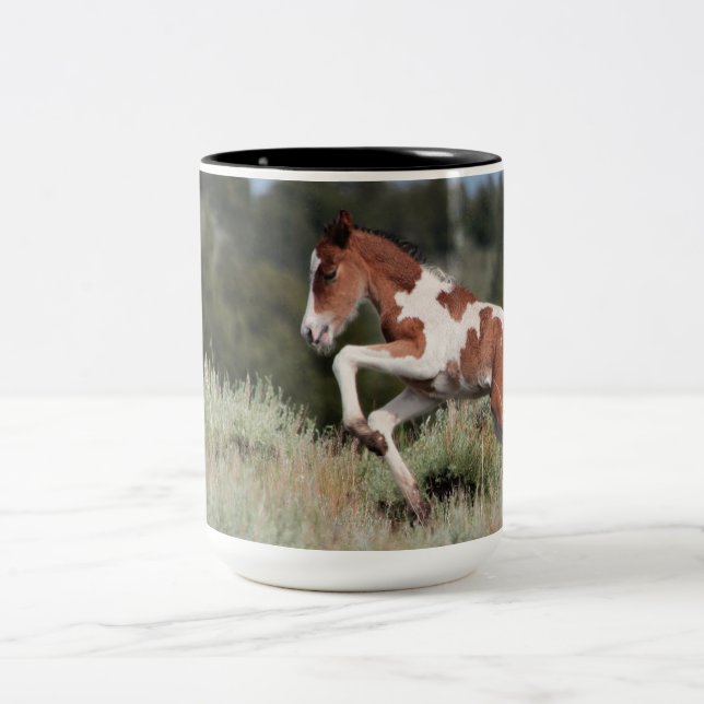 Poco una taza del mustango de la "lluvia" (Centro)