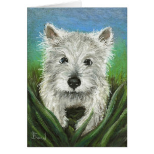 Poco Westie que juega en la hierba