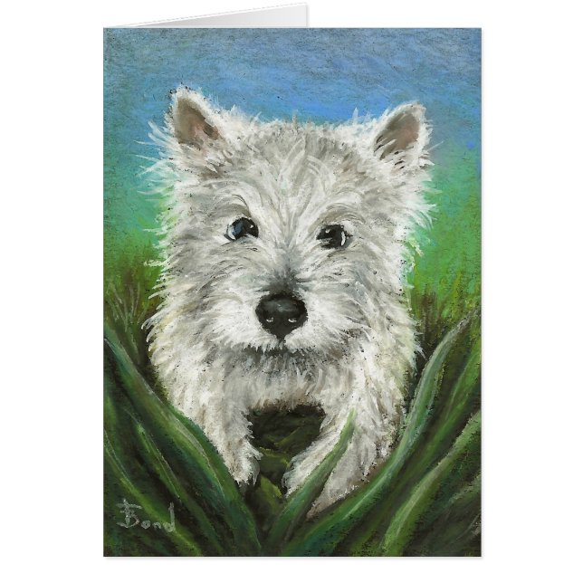 Poco Westie que juega en la hierba (Frente)