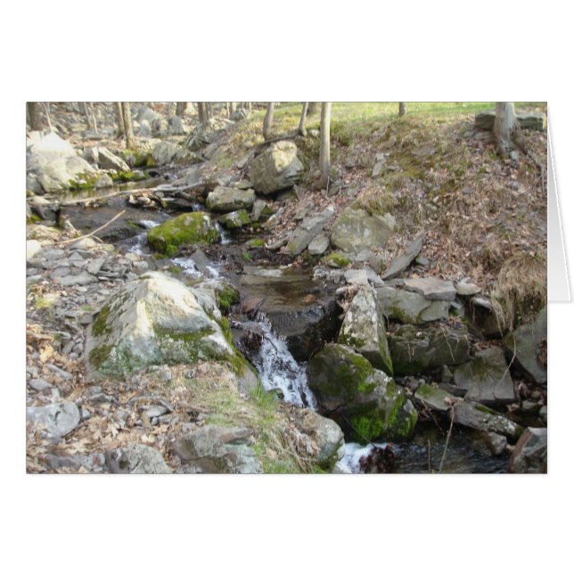 Poconos Pennsylvania (Anverso (Horizontal))