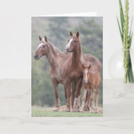 Poder Chica - Tarjeta de felicitación de Galloping