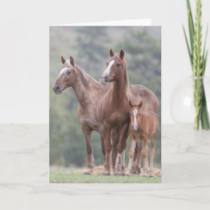 Poder Chica - Tarjeta de felicitación de Galloping