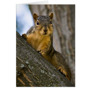 Podría Estar Interesado