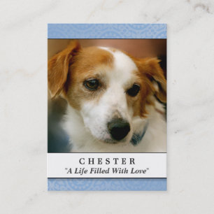 Poema de la tarjeta conmemorativa del mascota con