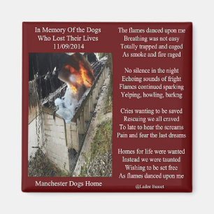 Poema del fuego del perro de Manchester del imán