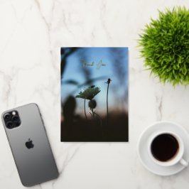 Poema Floral Romántico – Agradecimiento Poético Bo