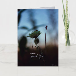 Poema Romántico Floral – Fantasía Botánica Gracias