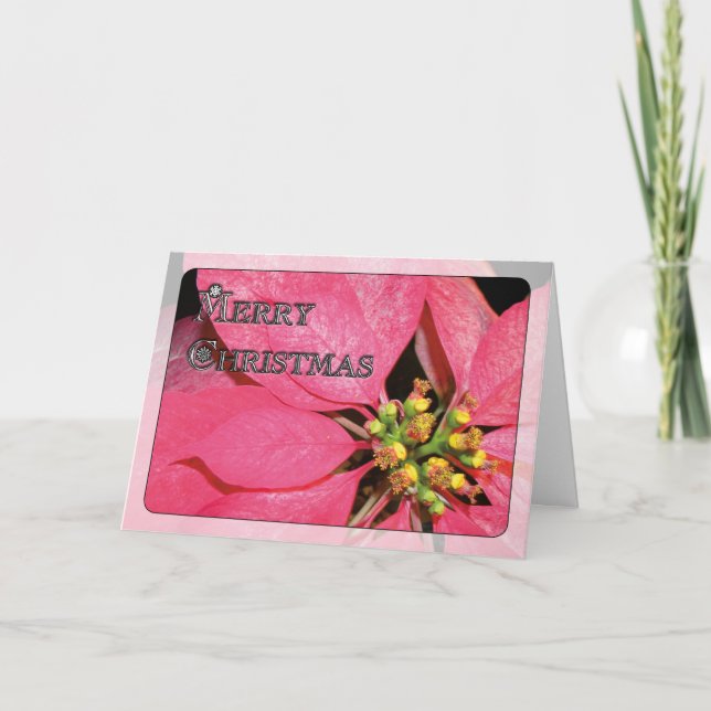 Poinsettia del navidad (Anverso)