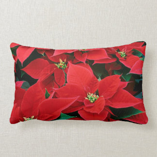 Poinsettia del navidad: Hogar: Almohadas y Cojín