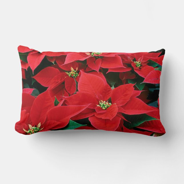 Poinsettia del navidad: Hogar: Almohadas y Cojín (Anverso)