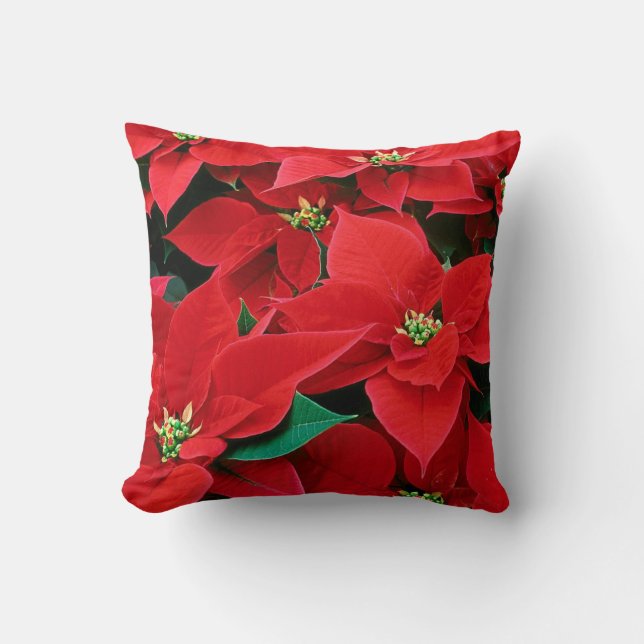 Poinsettia del navidad: Hogar: Almohadas y Cojín (Anverso)