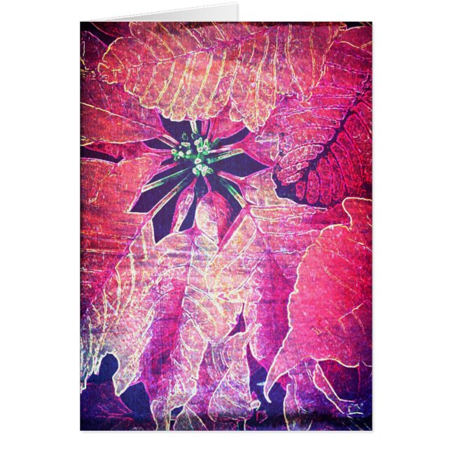 Poinsettia Flower Digital Art (Frente)
