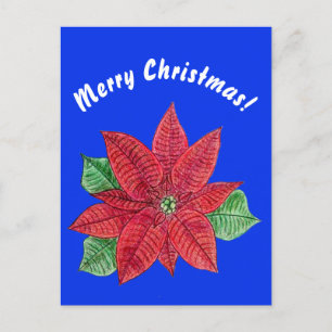 Poinsettia - Tarjeta postal navideña - Azul