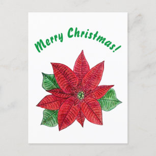 Poinsettia - Tarjeta postal navideña - Blanco