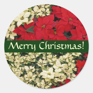 Poinsettias blancas y rojas pegatinas navideñas