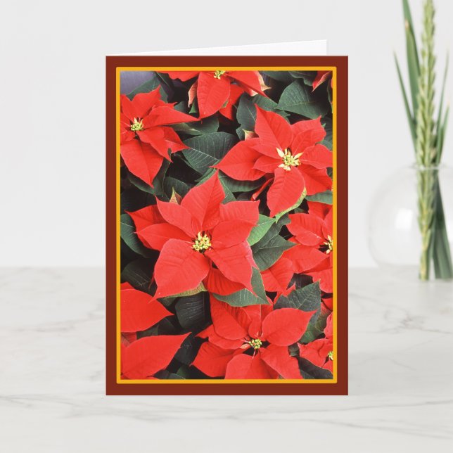 Poinsettias - Tarjeta Bella Artes de época (Anverso)