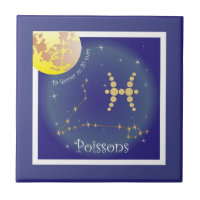 Poissons 19 février au 20 mars baldosa de foto