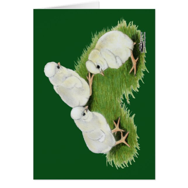 Polacos con salpicaduras polacas (Frente)