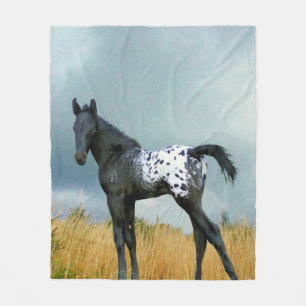 Polar Caballo - manta del paño grueso y suave del potro